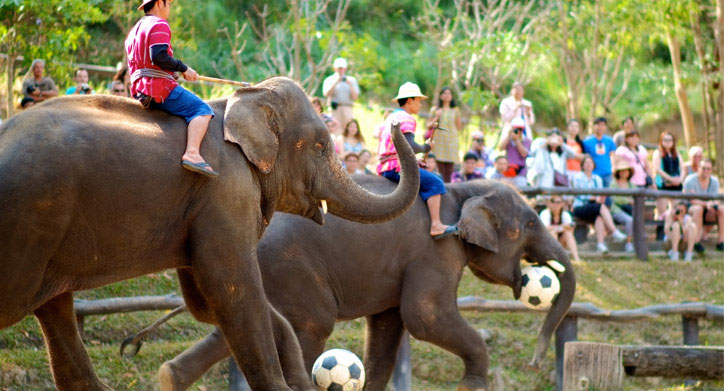 Chiang Mai Attractions, De Naga Hotel - Chiang Mai